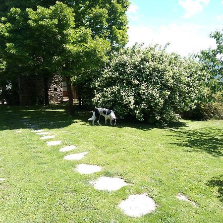 그레베 인 키안티 Casa Mezzuola Agriturismo 빌라 외부 사진