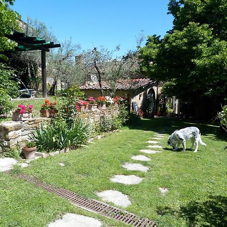 그레베 인 키안티 Casa Mezzuola Agriturismo 빌라 외부 사진