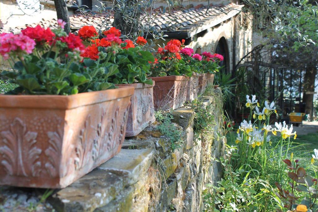 그레베 인 키안티 Casa Mezzuola Agriturismo 빌라 외부 사진