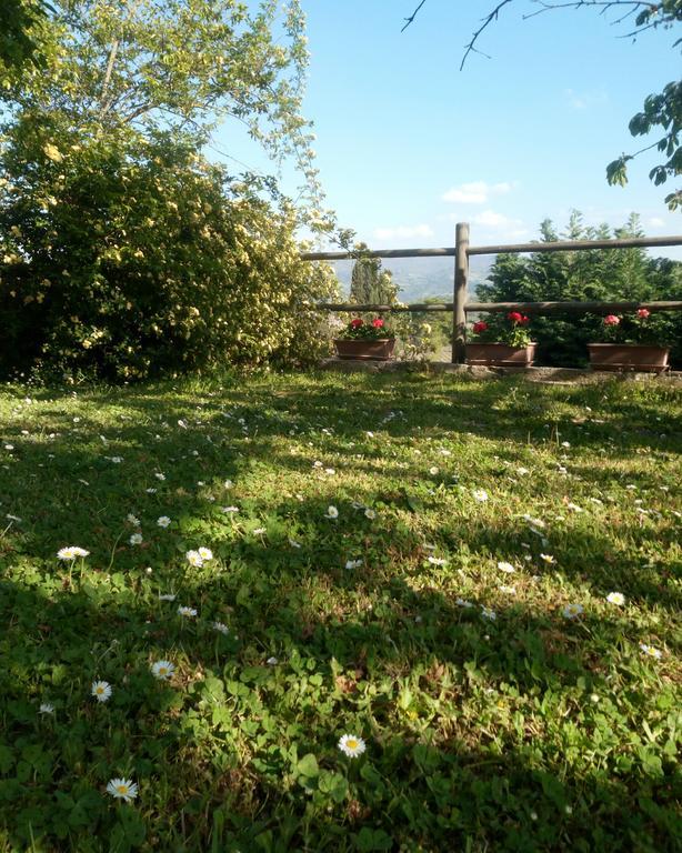 그레베 인 키안티 Casa Mezzuola Agriturismo 빌라 외부 사진