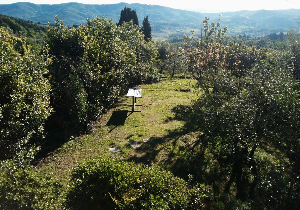 그레베 인 키안티 Casa Mezzuola Agriturismo 빌라 외부 사진