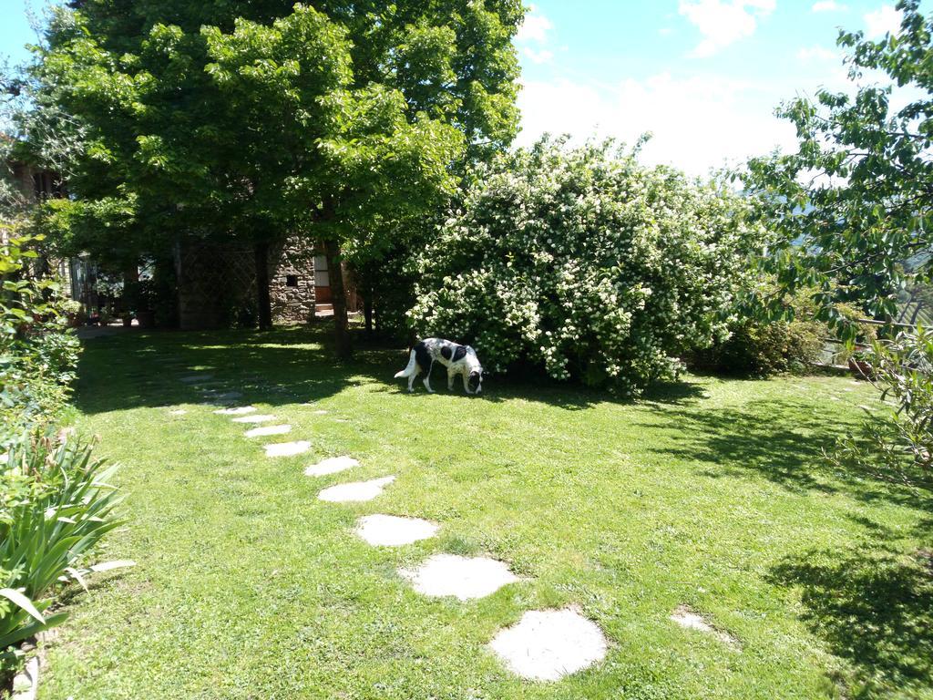 그레베 인 키안티 Casa Mezzuola Agriturismo 빌라 외부 사진